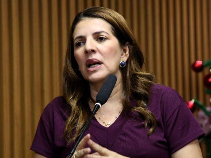 Vereadora de Natal Nina Souza (PDT) rebateu declarações do ex-ministro Henrique Eduardo Alves (PSB) - Foto: Elpídio Júnior / CMN