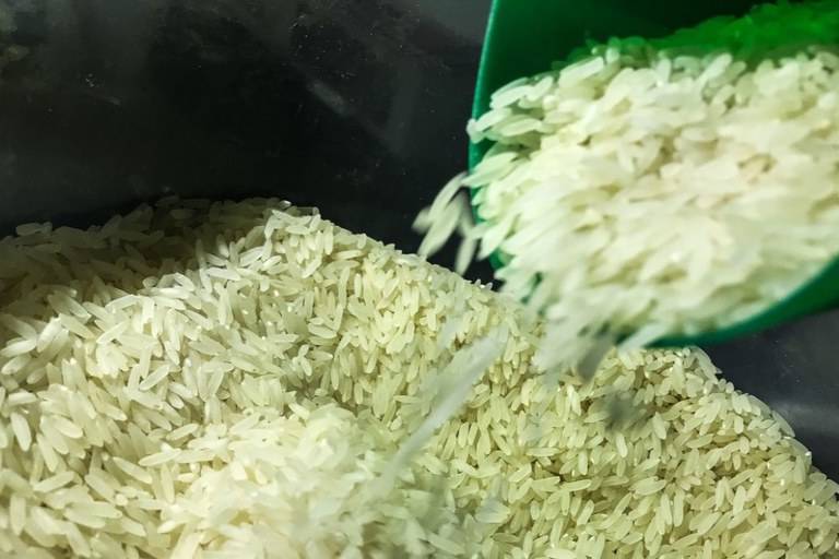 Leilão para compra de arroz aconteceu na semana passada - Foto: Marcello Casal Jr/Agência Brasil