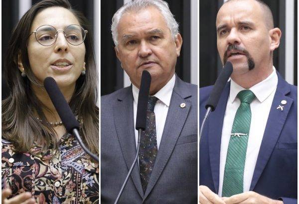 Deputados Natália Bonavides (PT), General Girão (PL) e Sargento Gonçalves (PL) deram o mesmo voto na PEC do corte de gastos - Foto: Agência Câmara / Reprodução