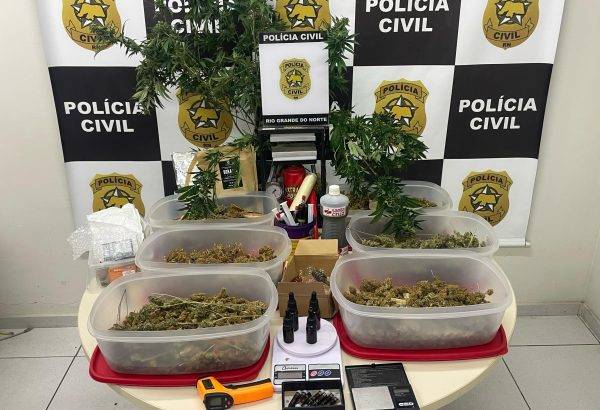 A ação foi resultado de investigações que apontavam a existência de uma estrutura voltada para o cultivo da droga em ambiente controlado. Foto: Polícia Civil