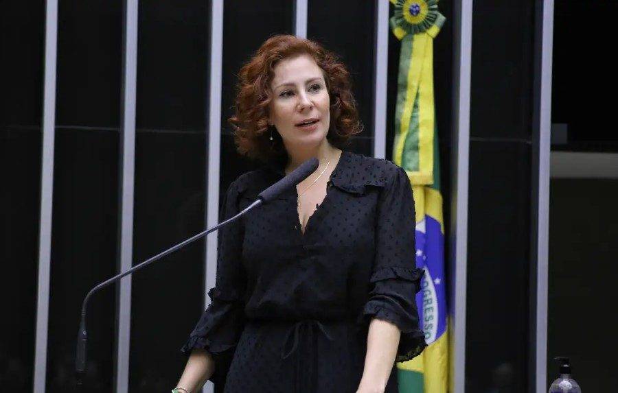Deputada federal Carla Zambelli (PL-SP). Foto: Câmara dos Deputados