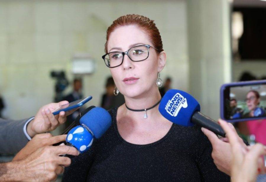 Deputada federal Carla Zambelli (PL-SP). Foto: Câmara dos Deputados