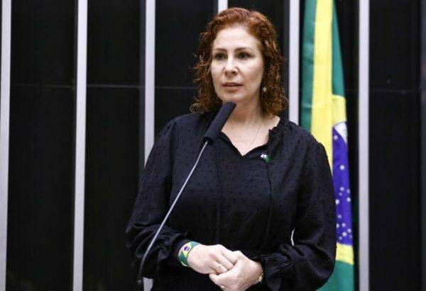 Deputada federal Carla Zambelli (PL-SP). Foto: Vinicius Loures/Câmara dos Deputados