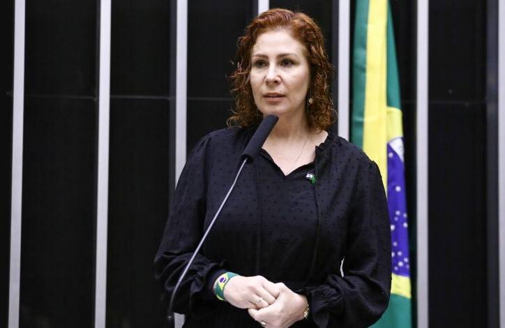Deputada federal Carla Zambelli (PL-SP). Foto: Vinicius Loures/Câmara dos Deputados