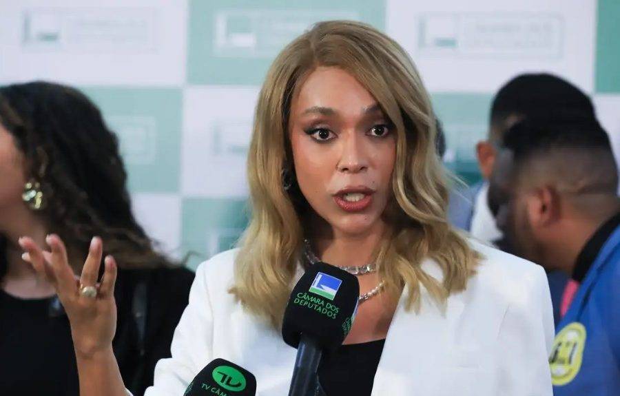 Deputada Erika Hilton (Psol-SP). Foto: Agência Brasil