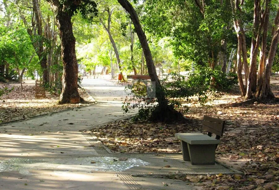 Bosque das Mangueiras e Parque da Cidade funcionam normalmente no feriado em Natal